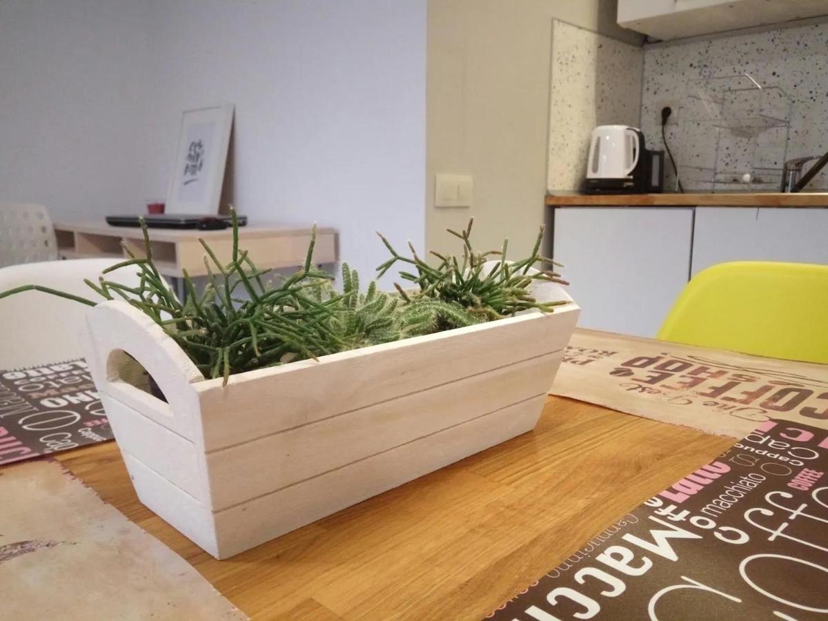 Quiet & Airy Modern Apt. Top Centre Free Parking Sofia Buitenkant foto